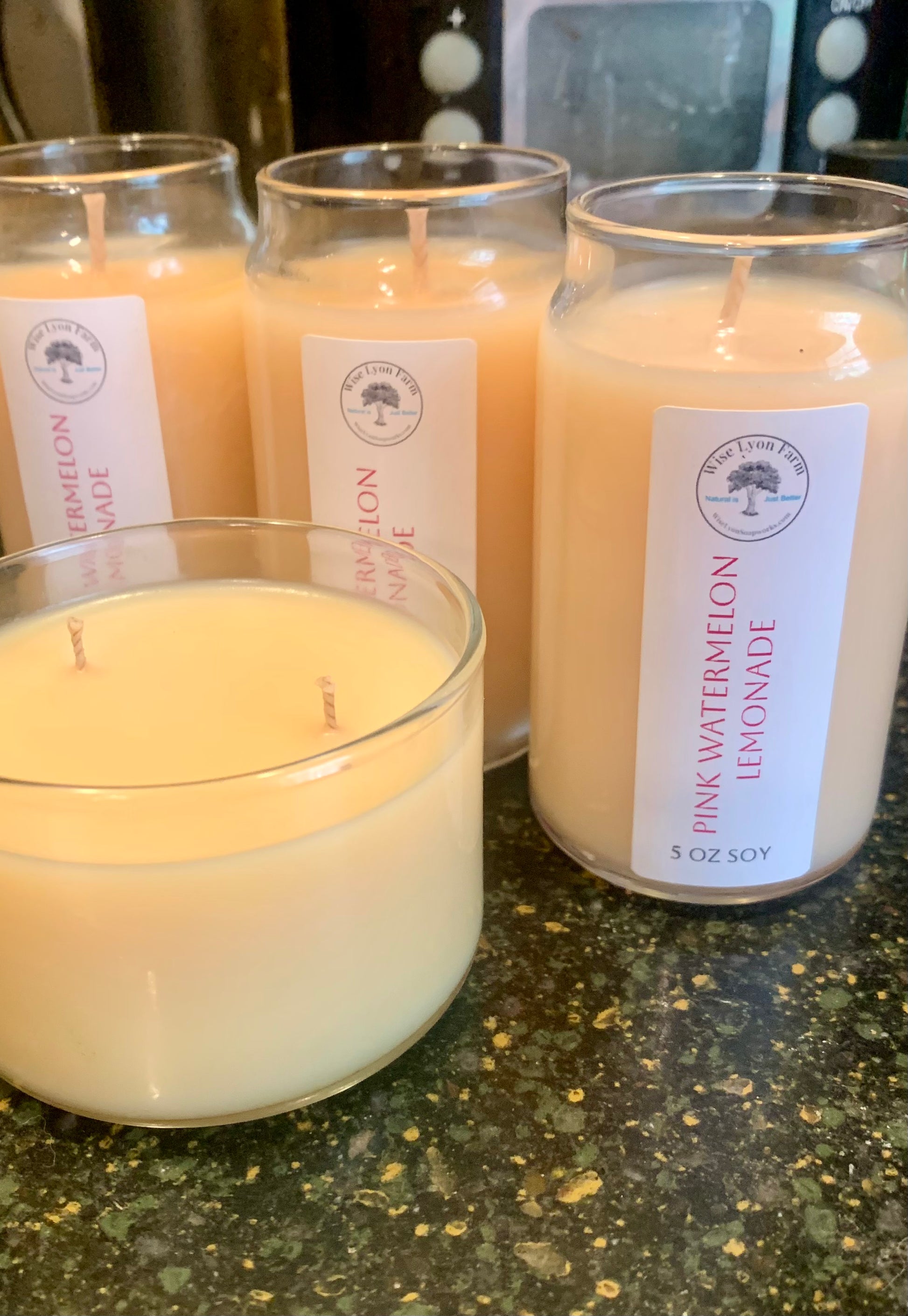 (Copy) Pumpkin Spice scented soy wax candle - Wiselyonsoapworks