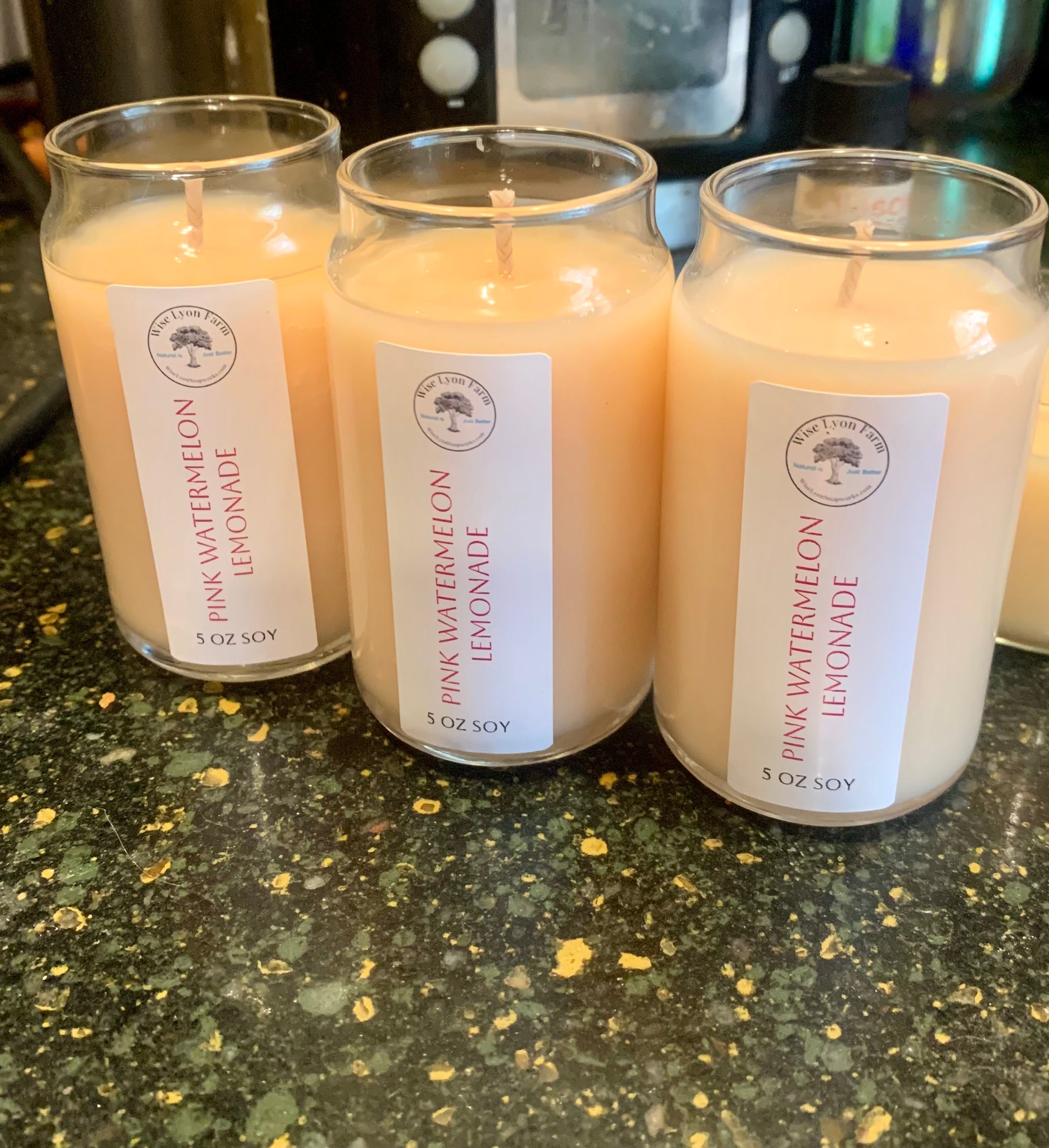 (Copy) Pumpkin Spice scented soy wax candle - Wiselyonsoapworks